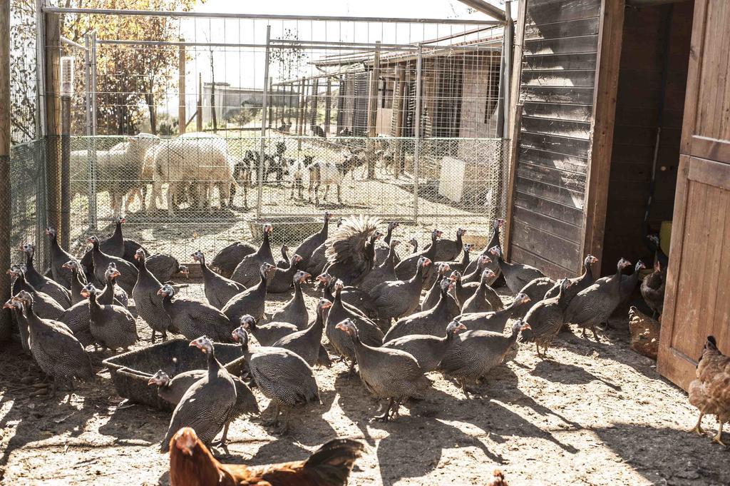Montabone Azienda Agrituristica Alcastle מראה חיצוני תמונה