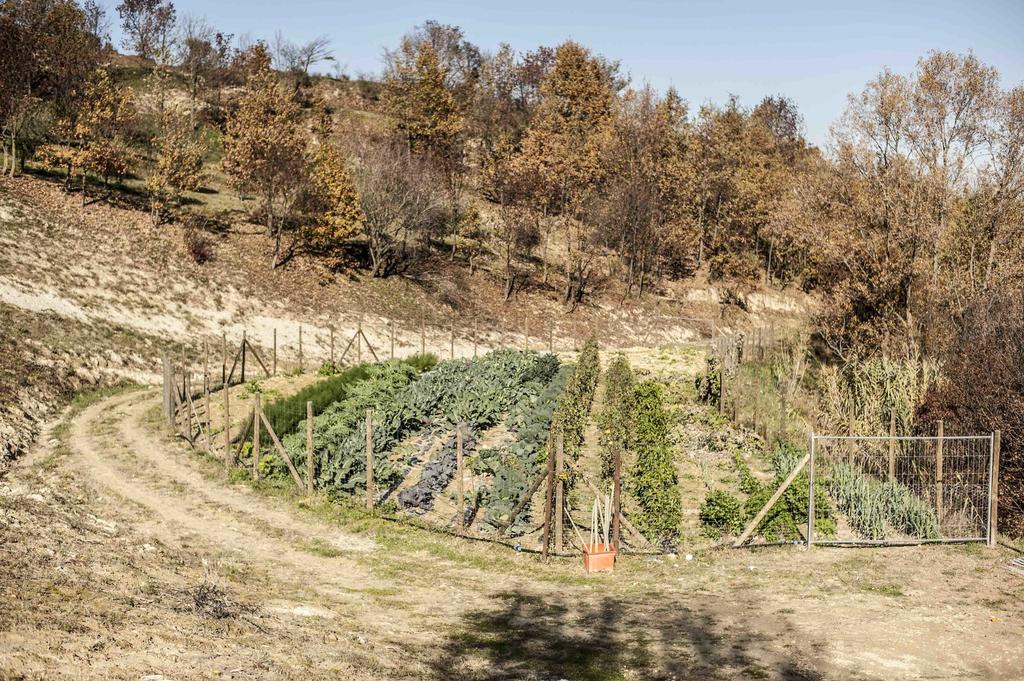 Montabone Azienda Agrituristica Alcastle מראה חיצוני תמונה